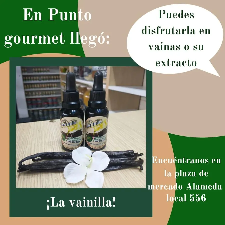 La Vainilla: Origen, Usos y Beneficios para la Salud